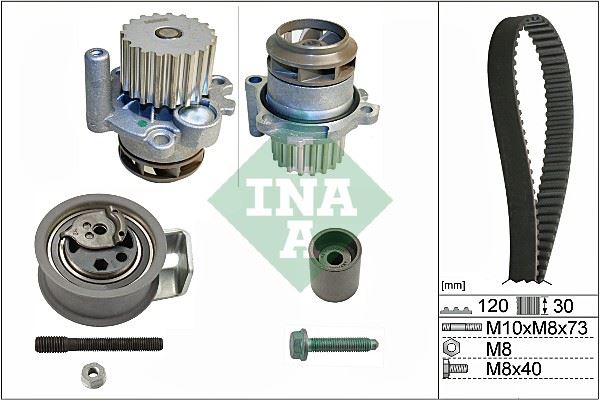 INA 530009130 X Devirdaimli Eksantrik Gergi Kiti Polo 99-01 -Fabia 00-07 Ibiza Iv 02-09 1.4tdi Amf-Bnm-Bnv