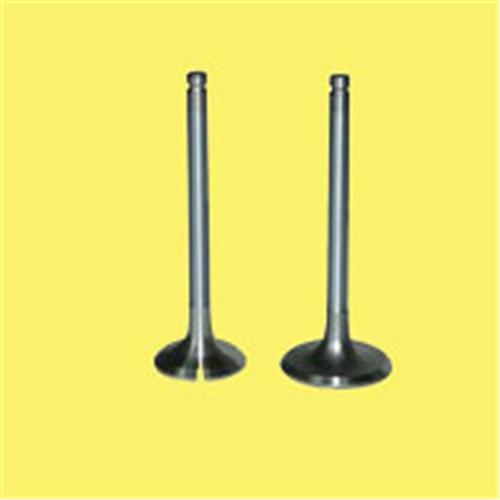 GUNES 6014-6015 Emme Egzoz Subap Takim Polo-Golf4-5-Jetta-Passat-Tiguan Ahw-Bby-Bky-Bag-Blf-Blp-Bmy-Bcb-Cava-Caxa