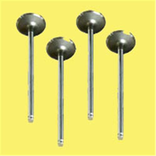 WAX-706E010298/0299 Subap Emme Eksoz Takim Renault 11 Flash 1700 21 Manager (F2n-B712) 8v