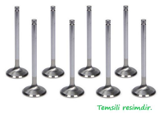 GUNES 4613-4614 Supap Takimi Renault Clio Ii-Iii-Iv Megane Ii-Iii-Iv Symbol Ii-Iii Talisman-Kadjar-Juke F15 -Qashqa I I-Ii 1.5 Dci K9k . Mercedes Om607 W176 W246 C117 W415 X156 In:4 Ex:4