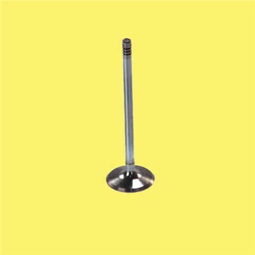 GUNES 4555-4556 X Subap Emme Egzoz J9 2.4 8v Std/0.50 In-4/Ex-4