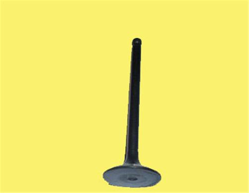 GUNES 2474-2475 Subap Emme Egzoz Ducato 2.3 Mtj 16v In-8/Ex-8