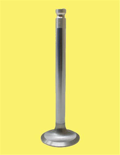 GUNES 2462-2463 Subap Emme Egzoz Doblo-Punto 1.9d-Brava-Bravo Marea 1.9td 8v In-4/Ex-4