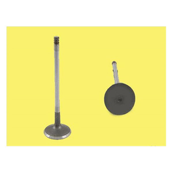 GUNES 0850-0851 X Subap Emme Egzoz C5 2.0hpi 16v In-8/Ex-8