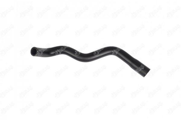 IBR 22883 Hortum  Cerato