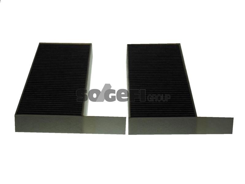 PURFLUX AHC425-2 Polen Filtresi Astra L 21> P308 Ii-Iii 13> P508 18> Karbonlu