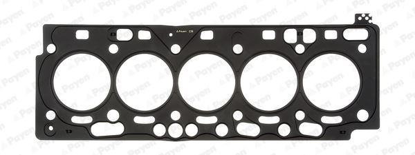 PAYEN AH7230 Skc 1.10 Mm Volvo S60 Ii-S80-V60-V70 Iii-Xc70 Ii-Sc60 10 > D 5244 T10 / T14 / T16