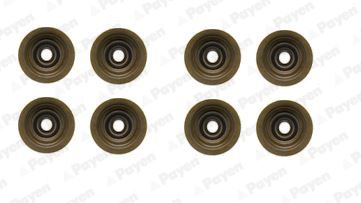 PAYEN HR5051 Supap Lastigi Tk. Land Rover Freelander I 20t2n L314 8 Li