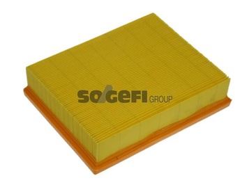 PURFLUX A1213 Hava Filtresi