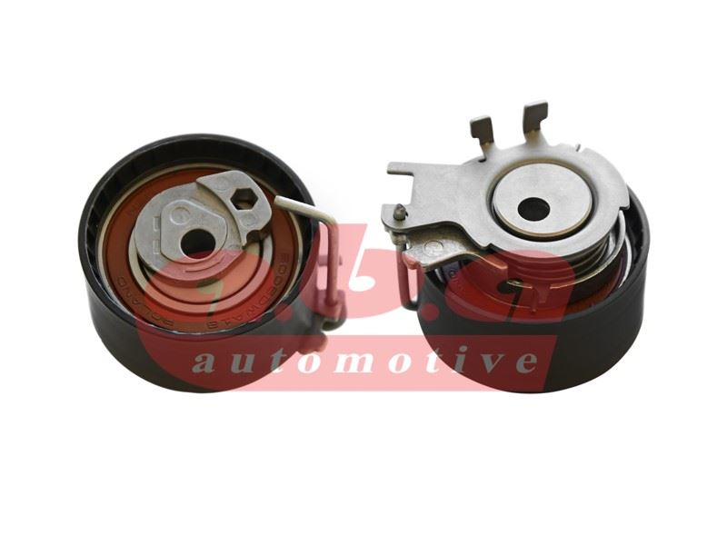 ABA 25205572 Eksantrik Gergi Rulmani Clio Ii 01> Clio Iii 05> Kangoo 01> Logan 04> Sandero 08> 1.2 16v