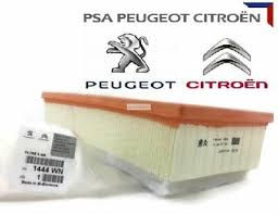 BSG 70-135-027 Hava Filtresi  Expert/Jumpy/807/C8