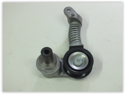 PSA 1611424480 Alternatör Gergi Rulmani Makarasi C6