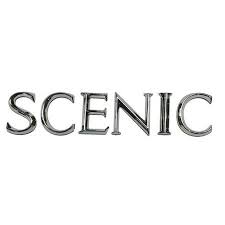 ORJINAL 908894771R Yazi Scenic Renault Scenic Ii 2004-2008