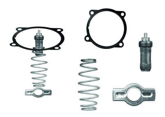 IVECO 504071087 Termostat Retarder Motor
