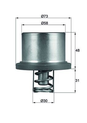 BH THD289 Termostat 89°C Cayenne