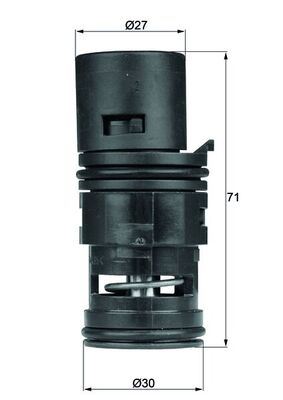 BSG 15-125-008 Termostat  X3 E83 Lci