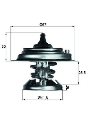 BSG 60-125-013 Termostat  Bm