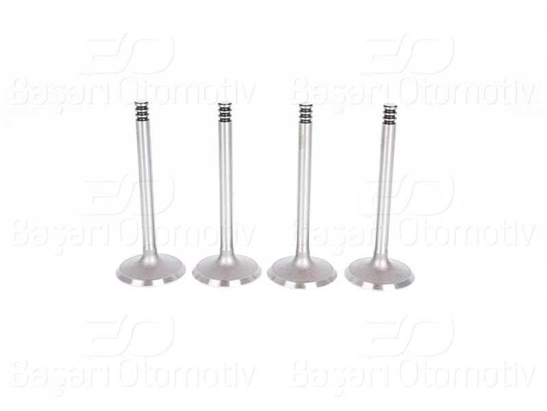 SUP 105815108 Supap Takimi Takim Caddy