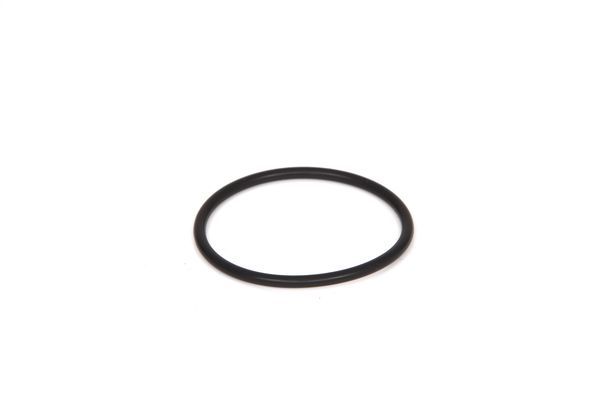 BCH 2700210031 O-Ring  F20-F21-F22-F23