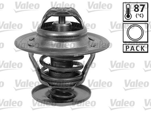 ERA 350029 Termostat Ford General Motors Oe Versiyon