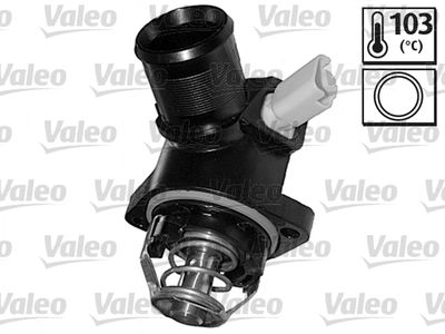 VAL-820977 Termostat Psa P207 C3