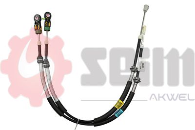 CAV-6014653 Vites Teli Citroen C4 Picasso
