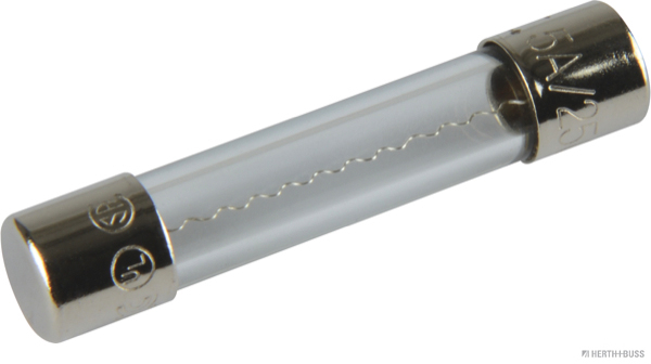 BCH 1987529901 Sigorta 32v / 5a Cam Sigorta Bm