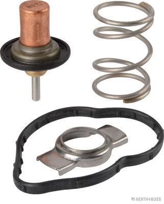 BSG 60-125-026 Termostat Komple 176-117-246-X156-415 Citan/Nissan