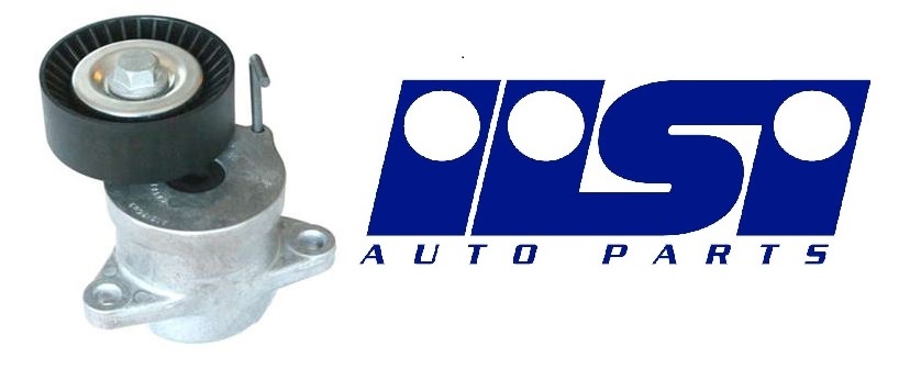 BSG 65-615-041 V Kayis Gergisi Komple  Komple Insignia Astra J Zafira C Cascada